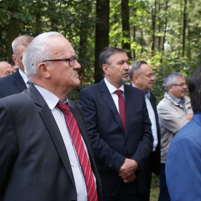 Obchody 72 rocznicy bitwy pod Gruszką - 2016
